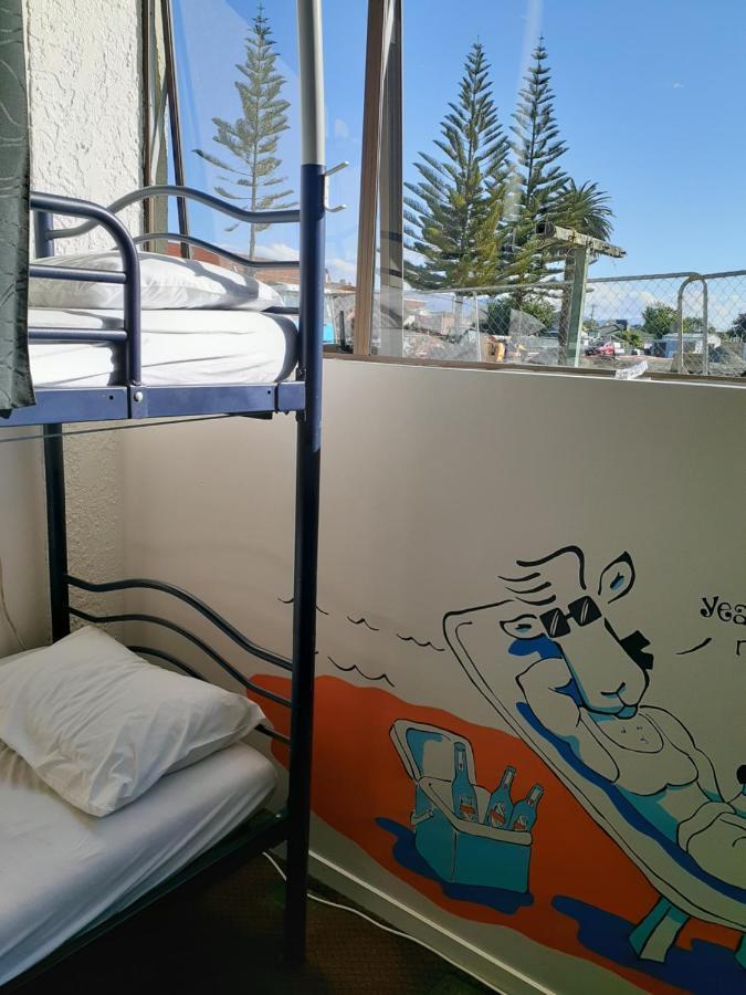 Bouncing Lamb Backpackers Hostel Nelson Luaran gambar
